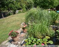 Garten mit kleinem Teich